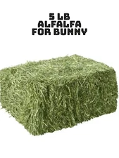 Alfalfa Hay for Rabbits & Small Pets 5 lbs