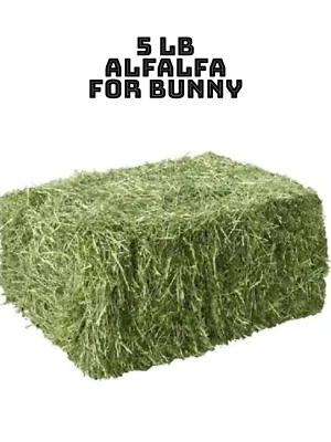 Alfalfa Hay for Rabbits & Small Pets 5 lbs