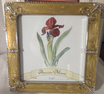 NEW Just Nan Thanks A Bunch OR Royal Blossoms Frame 5 x 5''