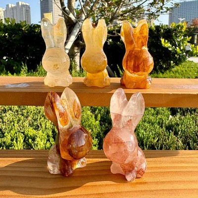 natural Gum flower Long-eared rabbit Quartz Crystal Reiki Healing random 1pc