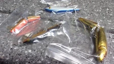 T42  rapala fishing lure finnigan minnow etc