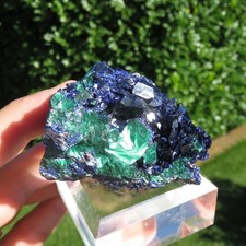 Minerali *** CRISTALLI di AZZURRITE con MALACHITE VELLUTATA Sonora, Messico
