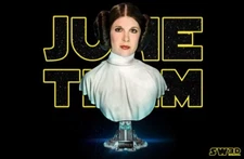 Princess Leia Portrait Bust resin scale model kit unpainted 3d print