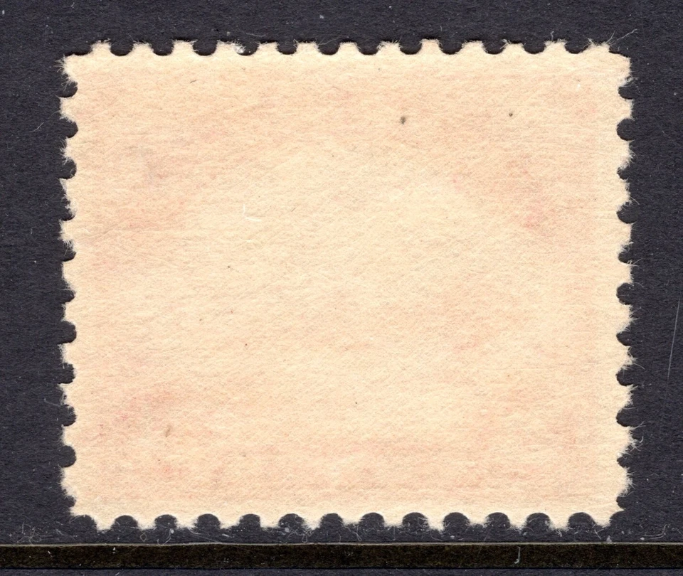 US 1923 Sc C6 MNH 24c Carmine De Havilland Biplane Very Fine - Image 2 of 2