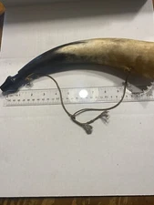 Vintage Powder Horn 