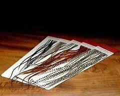 Montana Fly Company Whiting Farms 100's Dry Fly Hackle