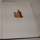 Picture 5 of 12
