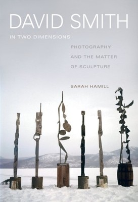 David Smith in Two Dimensions by Sarah Hamill HARDBACK 9780520280342