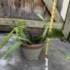 Picture 3 of 7