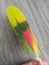 14 cm bunte 💚💛❤ Vogelfeder Papageienfeder Feder Papagei basteln   