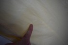 Bild 10 von 15