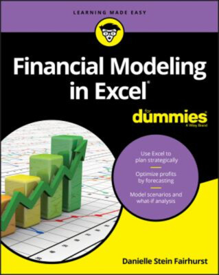 Financial Modeling in Excel For Dummies Paperback Danielle Stein