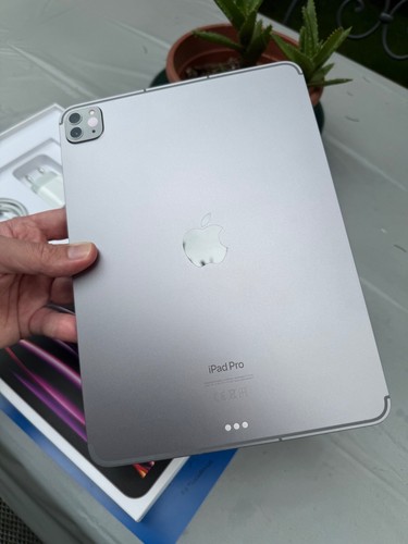 π Apple iPad PRO 11 M2 *TOP* 4a Gen 256GB WiFi+Cellular 5G in eccellente stato! - Foto 3 di 9