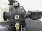 Picture 6 of 6