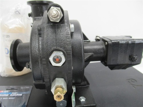 ACE FMCWS-155F-HYD-206, Hydraulic Driven Cast Iron Pump - FMCWS Sprayer Pump - Picture 6 of 6