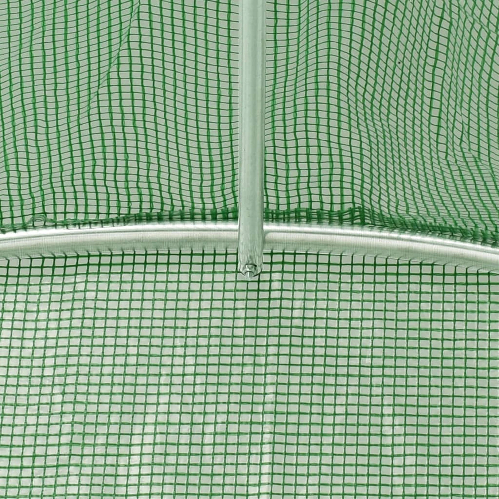 Picture 9 of 12