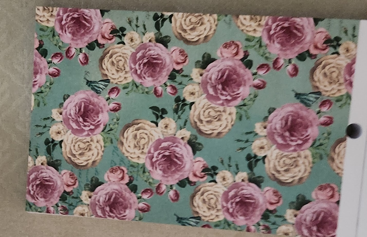 Picture 21 of 23