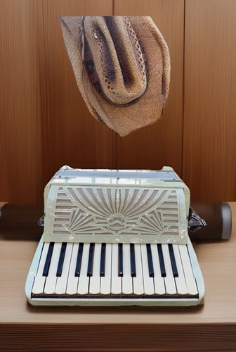 🎶🎼Vintage Akkordeon MADE IN ITALY schönes Instrument für das Alter