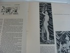 Foto 2 di 2