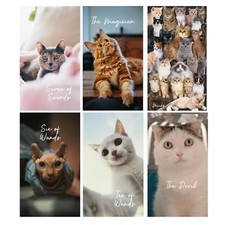 Cat Tarot Deck 78 cards MADE TO ORDER