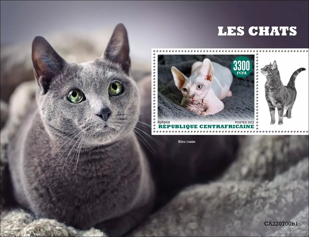 African hotsell blue cat