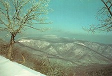 Postcard Shenandoah National Park Winter Weather Phenomena Freezing Fog