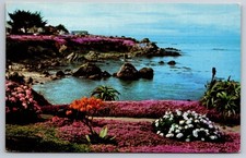 Vintage Postcard Magic Carpet Ice plants Ocean View Pacific Grove CA Ocean View