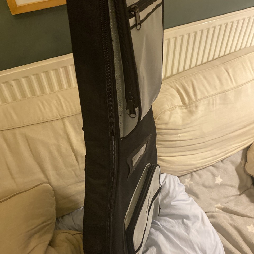 Guitar case eBay