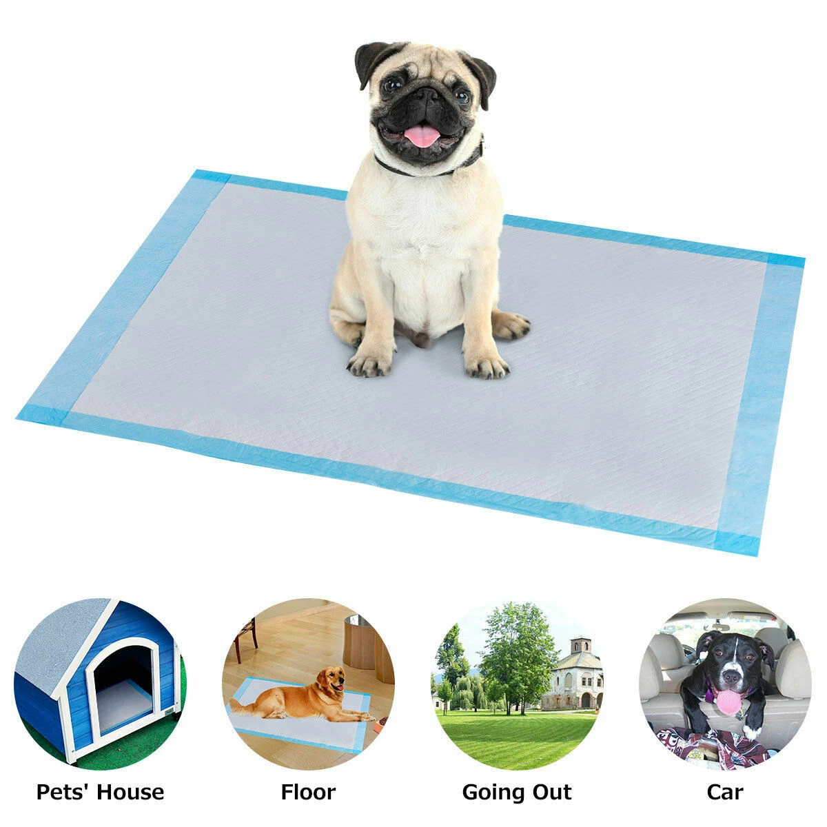 Piddle pads top for dogs