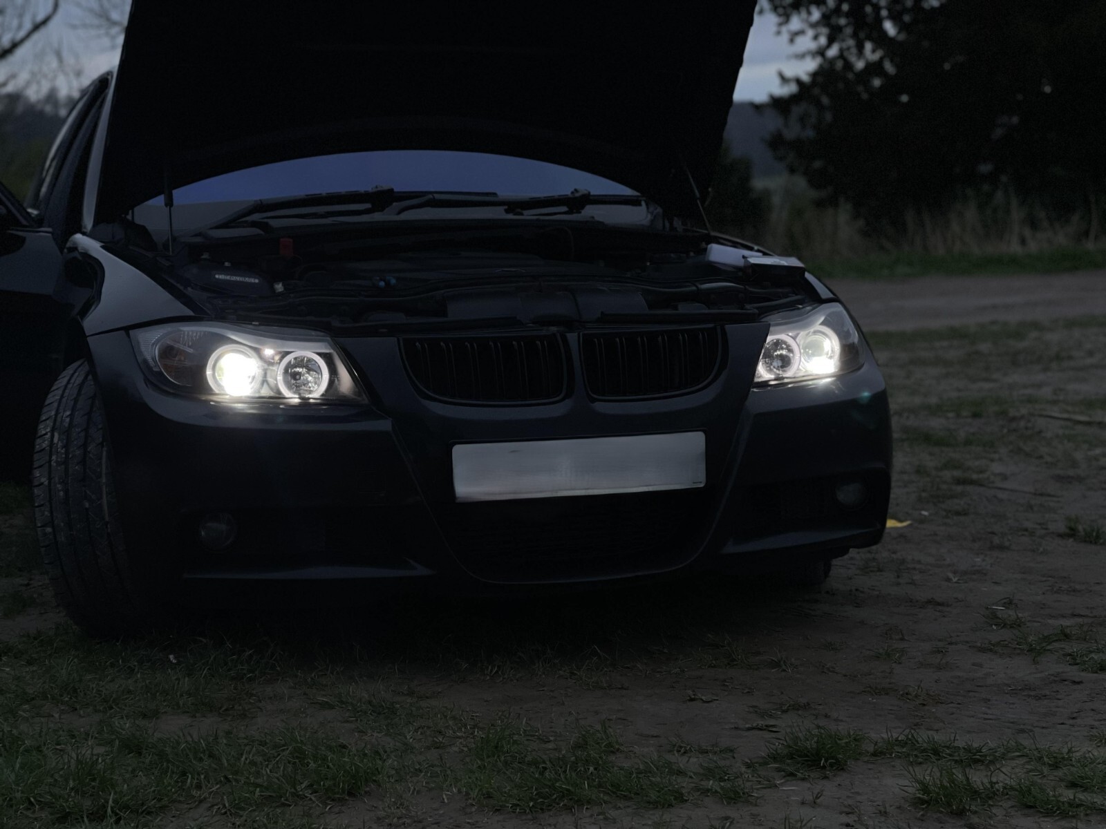 Picture 9 of 14