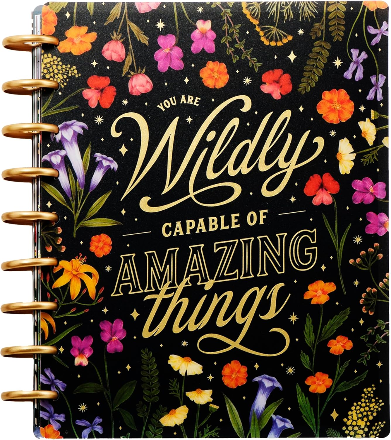 Happy Planner Disc-Bound 12-Month Planner, Jan.–Dec. 2025 Daily, Weekly, and Mon