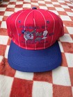 Vintage Fresno State Bulldogs Snapback Hat Cap 1995 Dugout Club Timeout Ncaa 90s