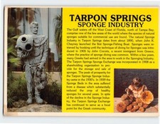 Postcard Sponge Industry Tarpon Springs Florida