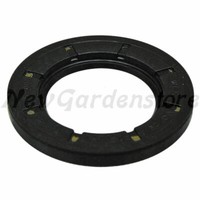 Wellendichtring Motor AufsitzmäHer RasenmäHer FüR Briggs & Stratton 495307S