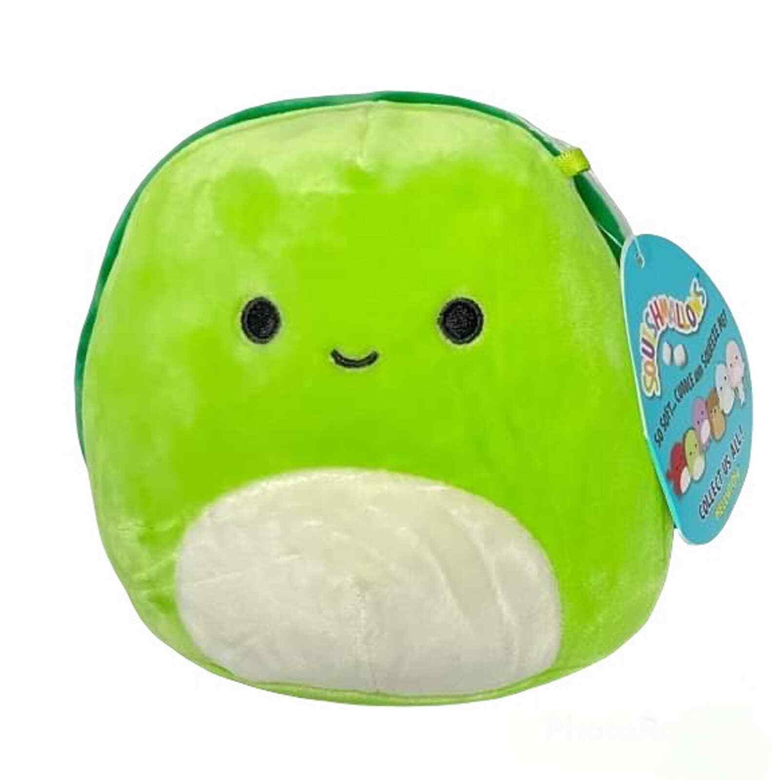 squishmallow henry turtle