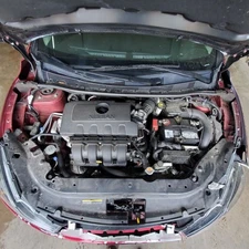 SENTRA    2019 Engine Wire Harness 1097220