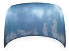 2011-2016 Honda CR-Z CRZ Engine Hood Assembly Blue, 60100-SZT-G90ZZ, E035, OEM,