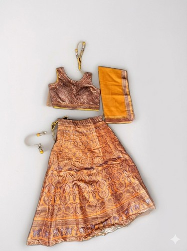 Beautiful Indian Lehenga Lapink Size Large