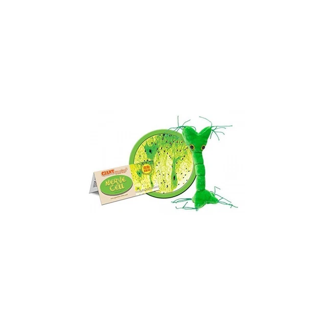 Angry Birds 3-4 Years Science & Nature Educational Toys