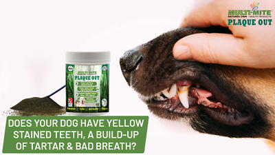 PLAQUE OUT Cat and Dog Oral Plaque Off Tartar Bad Breath ORGANIC