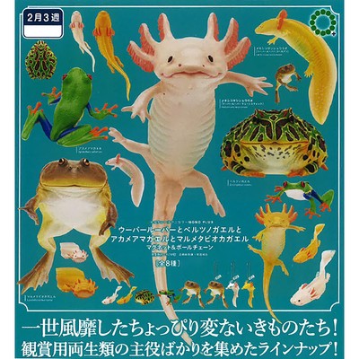 Nature Techni Colour MONO PLUS Axolotl & Frogs Keychain and Magnet