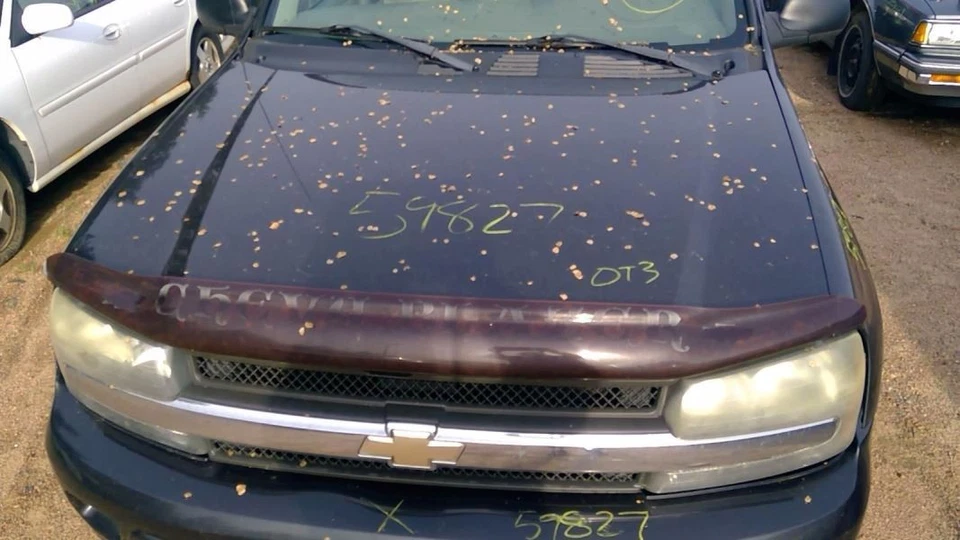 (LOCAL PICKUP ONLY) Windshield Glass Excluding Denali Fits 02-07 ENVOY 4257399 - Image 3 of 4