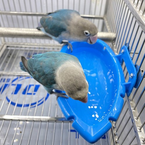 Bird Water Bath Tub For Pet Bird Cage Hanging Bowl Parrots Parakeet Birdbath - Picture 7 of 9