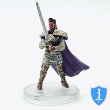 Human Paladin of the Oath of Vengeance - Waterdeep Dungeon Mad Mage #23 D&D Mini