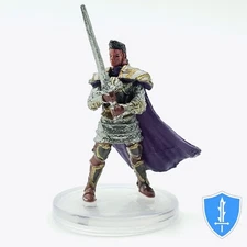 Human Paladin of the Oath of Vengeance - Waterdeep Dungeon Mad Mage #23 D&D Mini