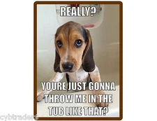 Funny Dog Beagle In Tub  Refrigerator / Tool  Box  Magnet