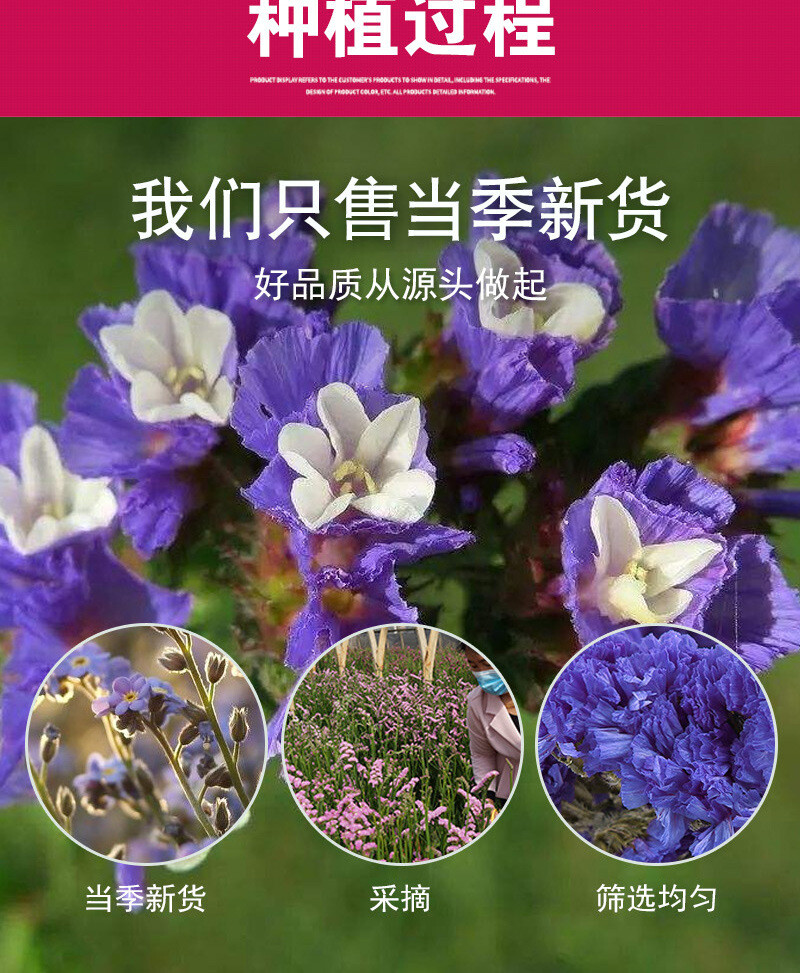 500g Blue Bulk Dried Flowers Herbal Tea eBay