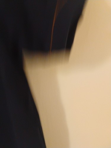 Next Apparel Short Sleeve Shirt Size L Navy - Picture 6 of 8