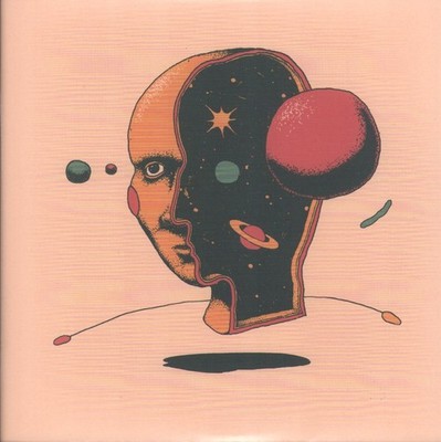 Sprints Literary 7'' Vinyl Europa Nice Swan 2022 7'' Pic Sleeve Versiegelt