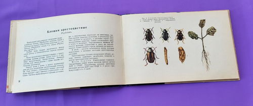 Soviet Book Album of pests of flower and ornamental plants 1963 USSR - Picture 6 of 18